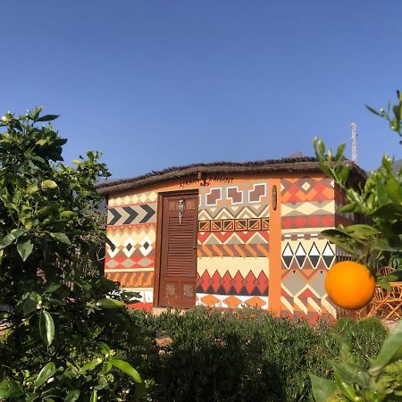 Afrikan Krisant Tenerife, Casa Rural Ecologica Arafo Exteriör bild