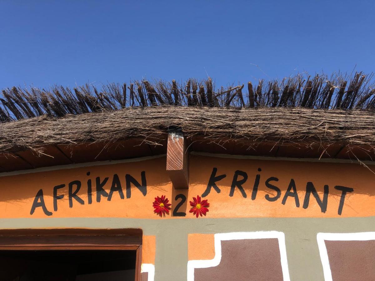 Afrikan Krisant Tenerife, Casa Rural Ecologica Arafo Exteriör bild