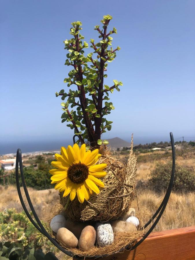 Afrikan Krisant Tenerife, Casa Rural Ecologica Arafo Exteriör bild