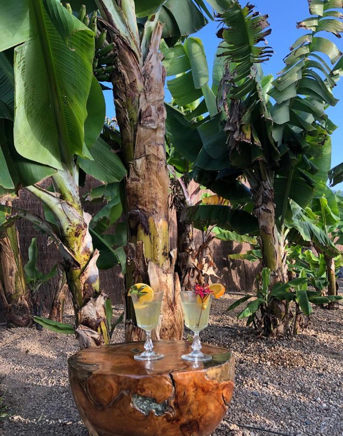 Afrikan Krisant Tenerife, Casa Rural Ecologica Arafo Exteriör bild