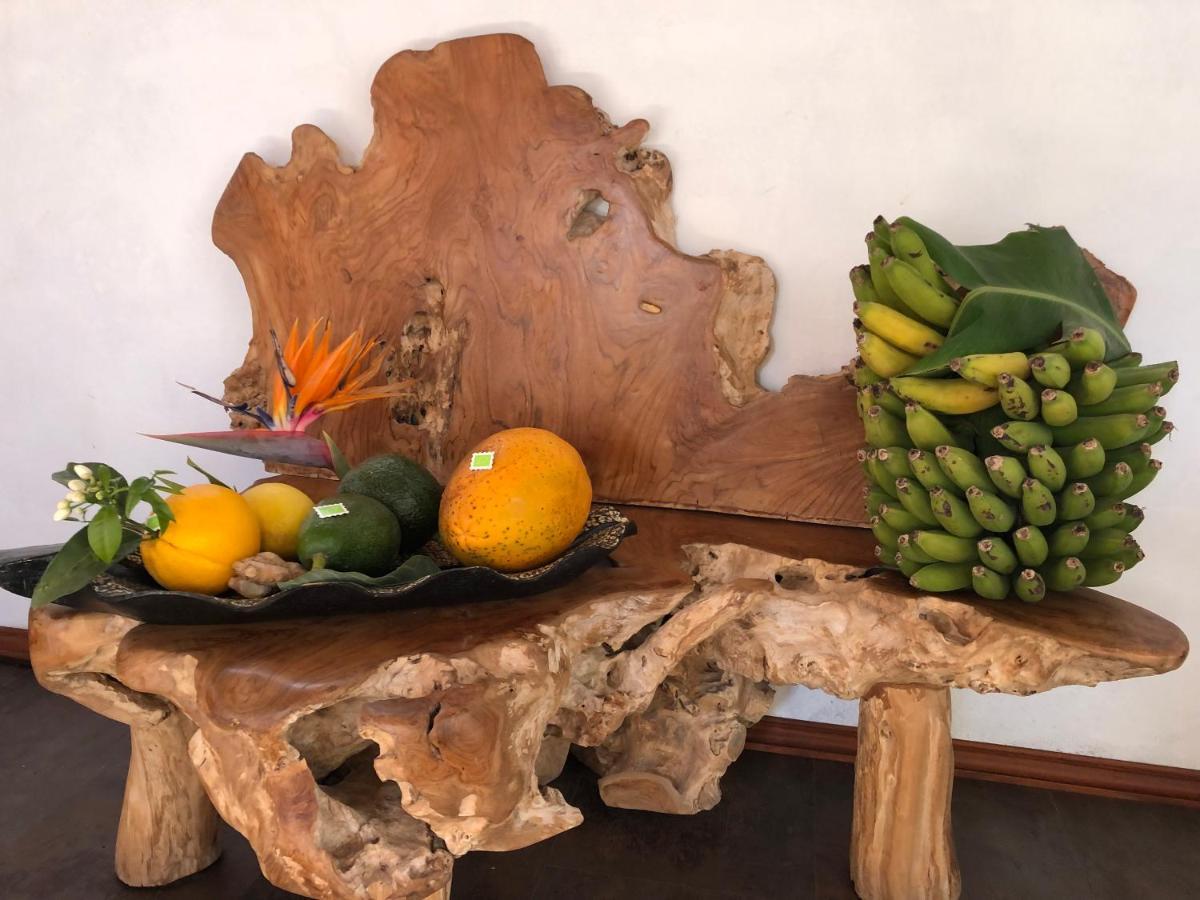 Afrikan Krisant Tenerife, Casa Rural Ecologica Arafo Exteriör bild