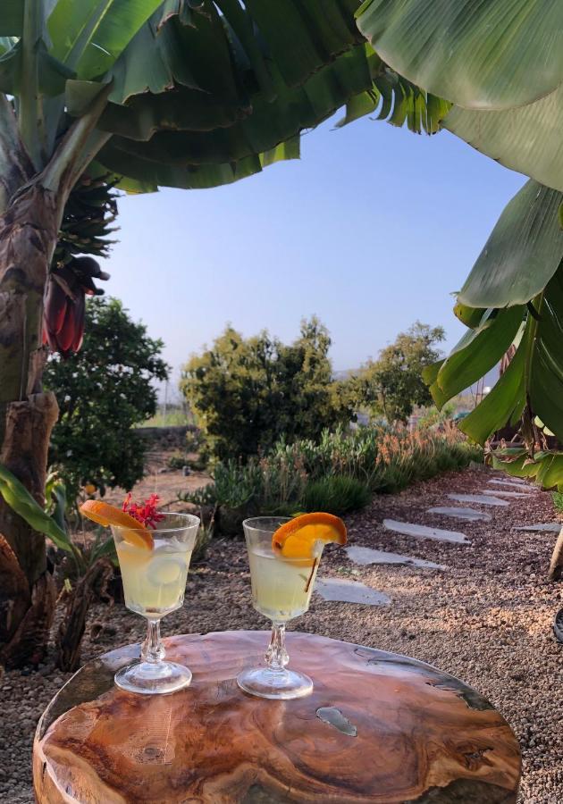 Afrikan Krisant Tenerife, Casa Rural Ecologica Arafo Exteriör bild