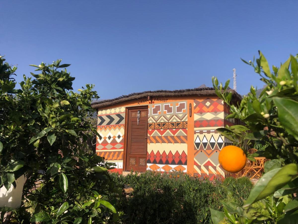 Afrikan Krisant Tenerife, Casa Rural Ecologica Arafo Exteriör bild