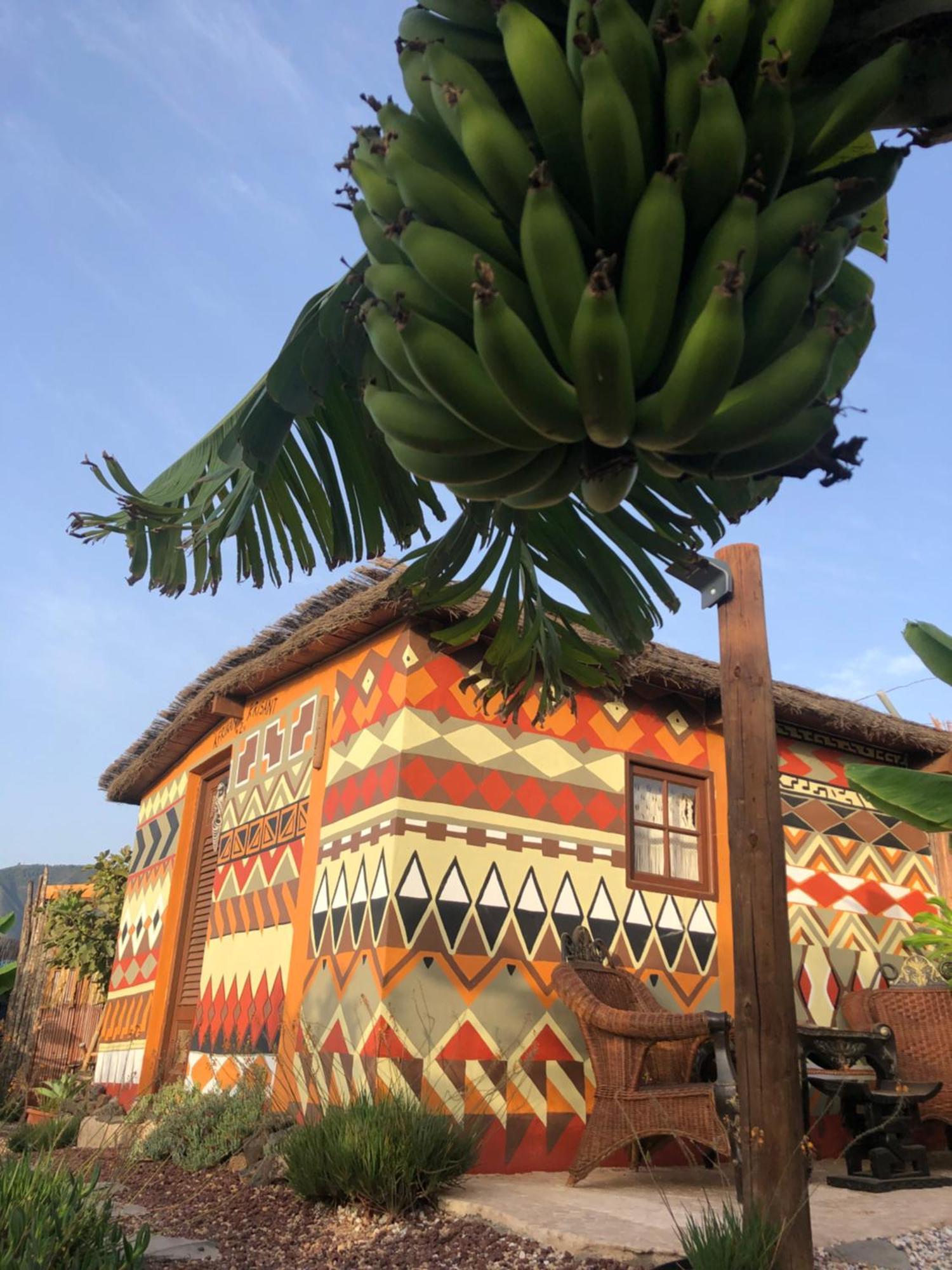 Afrikan Krisant Tenerife, Casa Rural Ecologica Arafo Exteriör bild