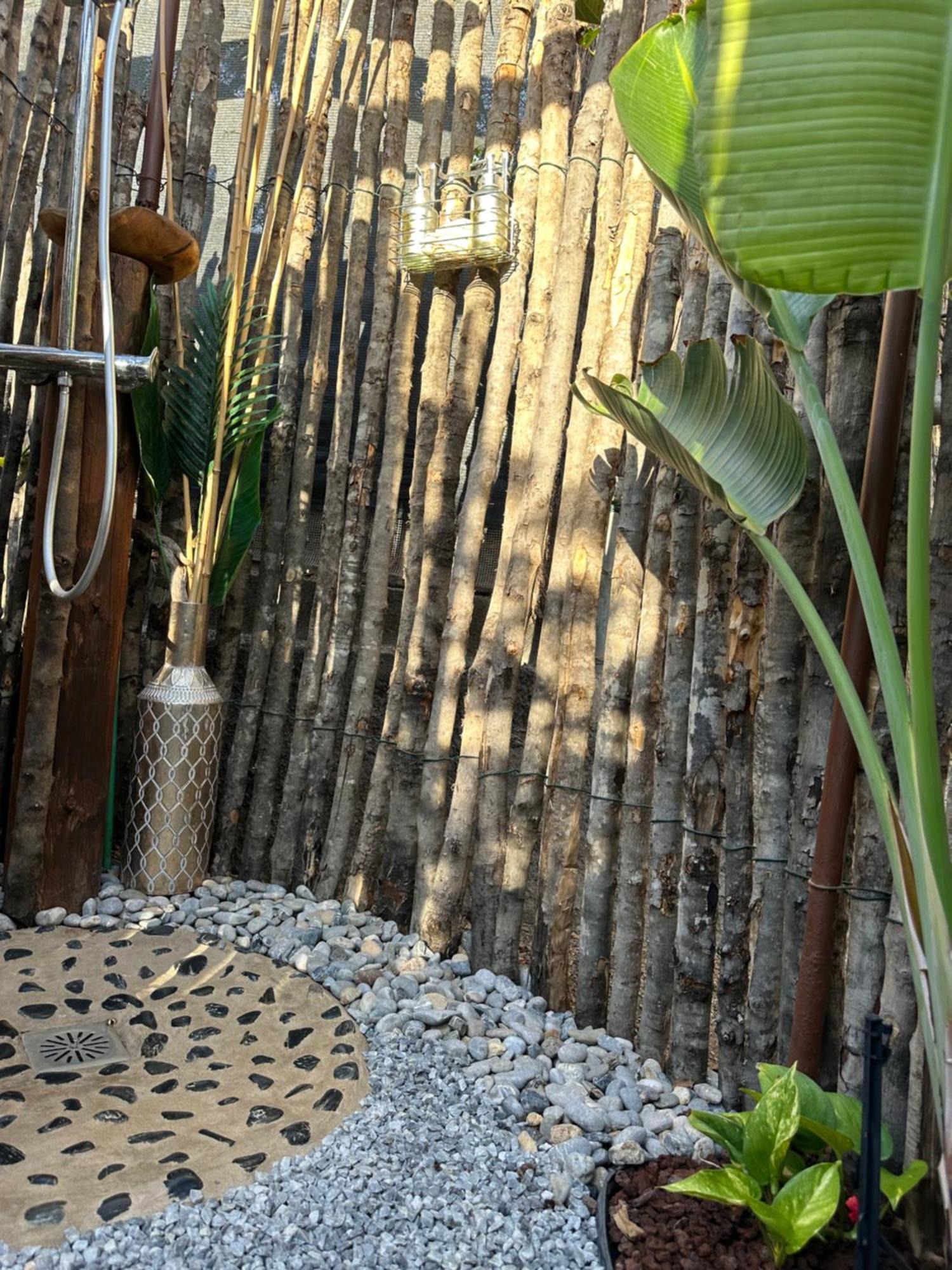 Afrikan Krisant Tenerife, Casa Rural Ecologica Arafo Exteriör bild