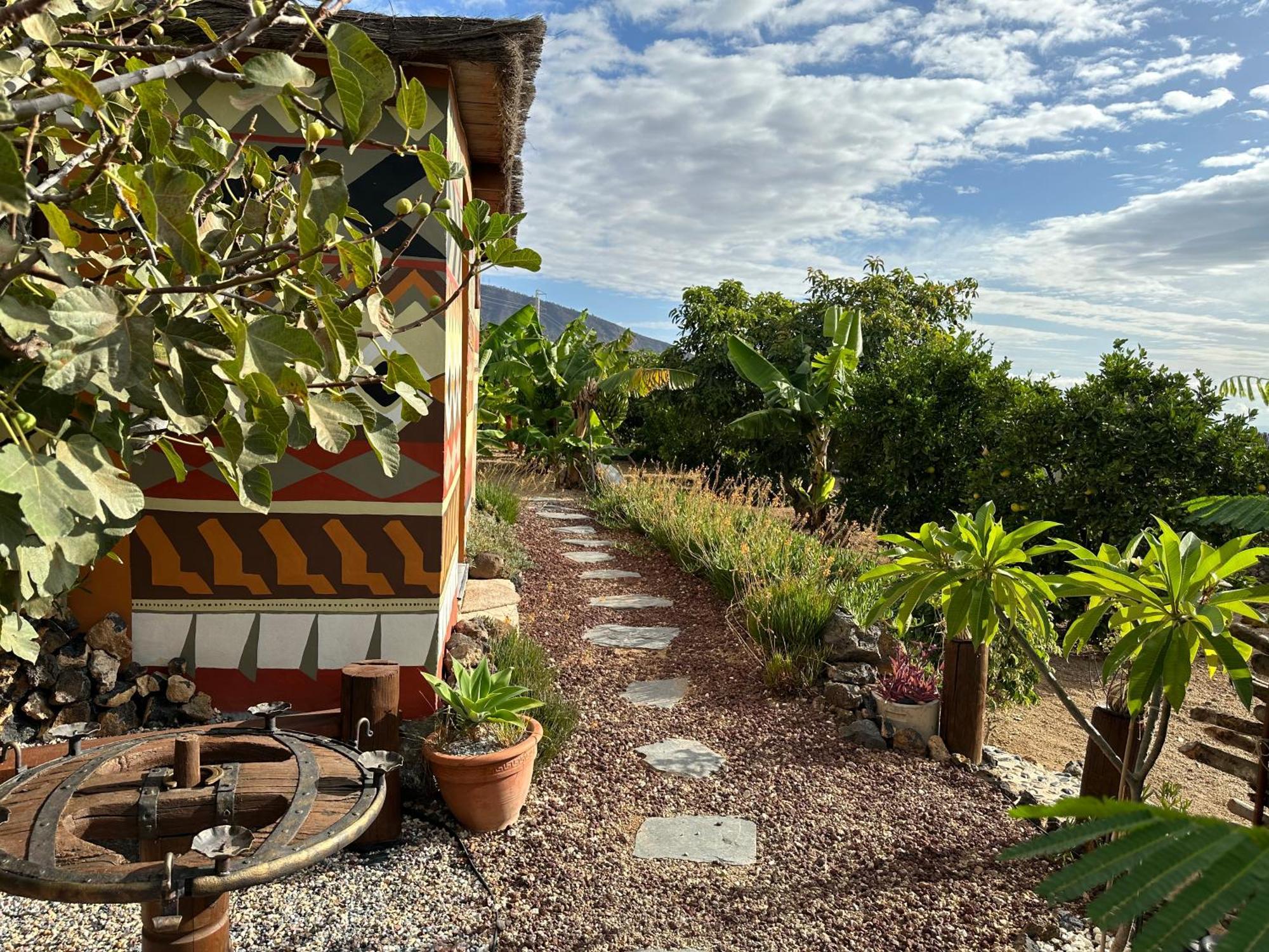 Afrikan Krisant Tenerife, Casa Rural Ecologica Arafo Exteriör bild